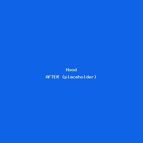 Hood — wrapped result